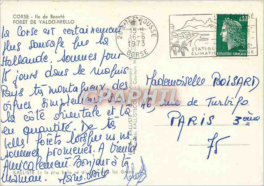 CPM Corse Ile de Beaute Foret de Valdo Niello — Rückseite
