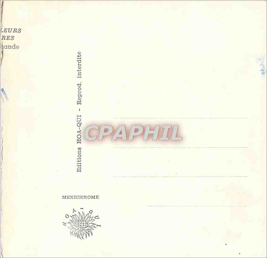 CPM Femme Afrique Antilles — Rückseite