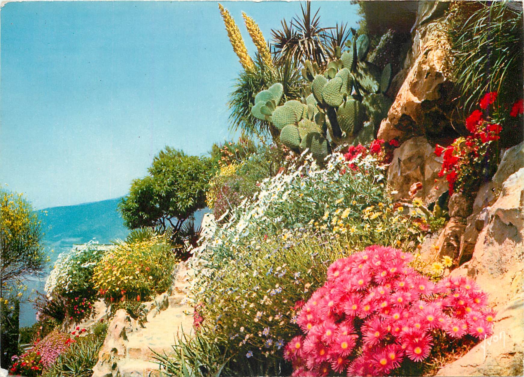CPM Coulerus et Lumiere de France La Cote d'Azur miracle de la nature jardin fleuri de la cote d'Azu