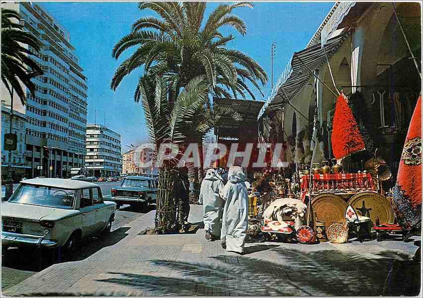 Casablanca — lively street with goods and palm trees — Graphphil