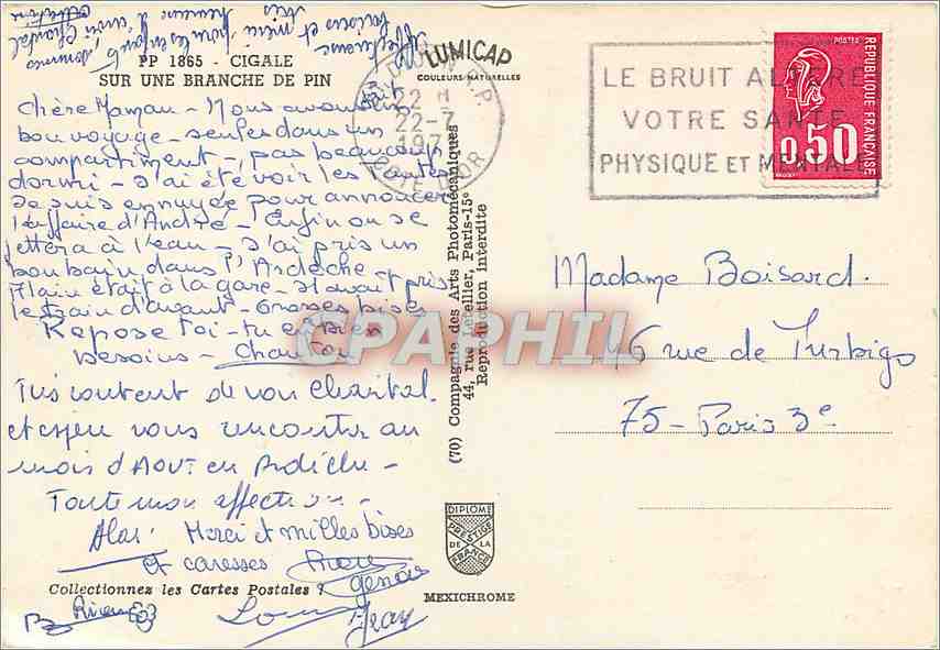 CPM Cigale sur une Branche de Pin — Rückseite
