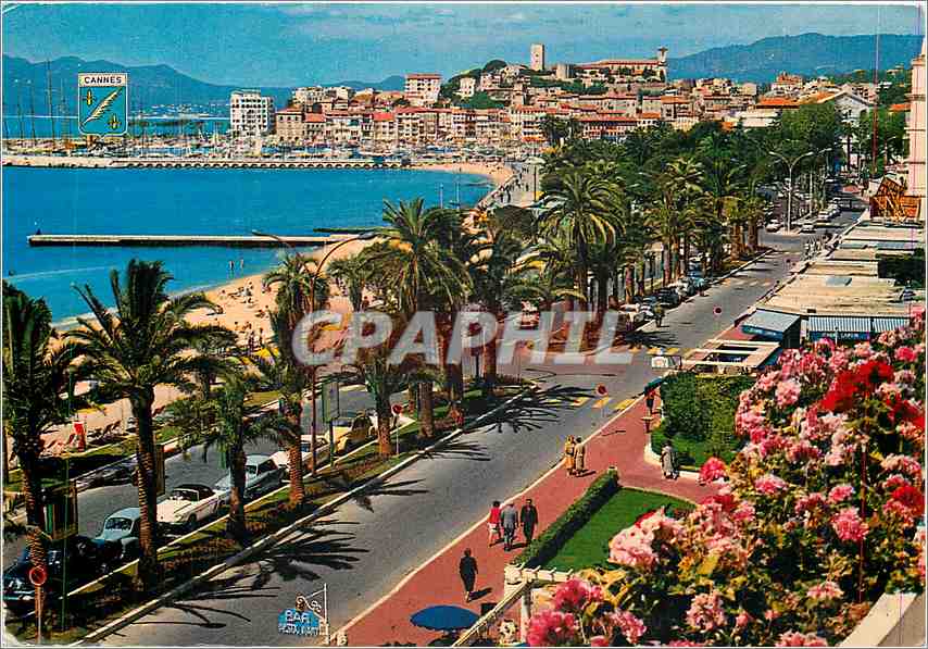 CPM Cote d'Azur French Riviera Cannes (Alpes Mmes) La Promenade de la Croisette