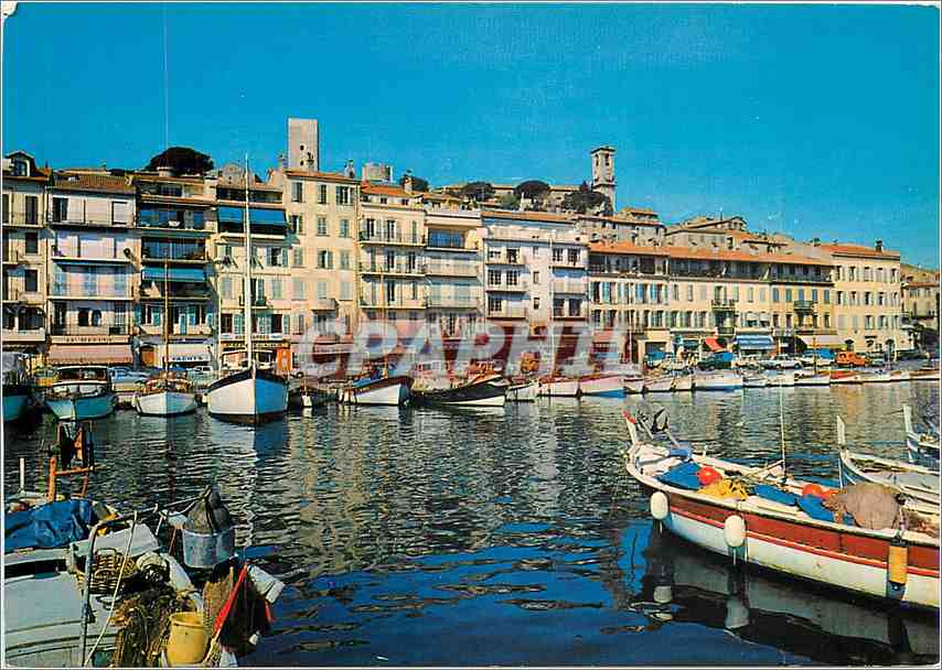 CPM La Cote d'Azur Cannes Le Suquet