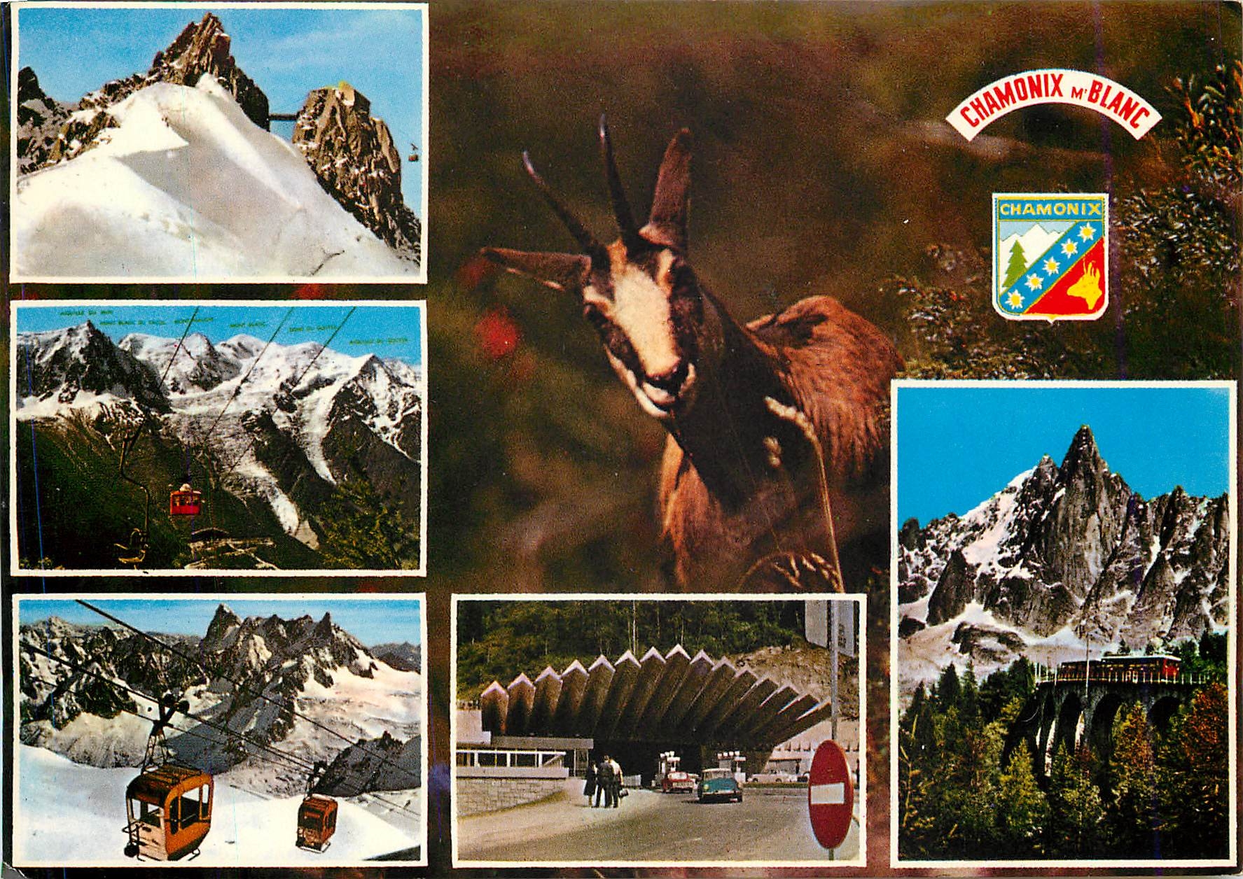 CPM Chamonix Mont Blanc L'Aiguille du Midi 3842 m chaine du Mont Blanc Chevre