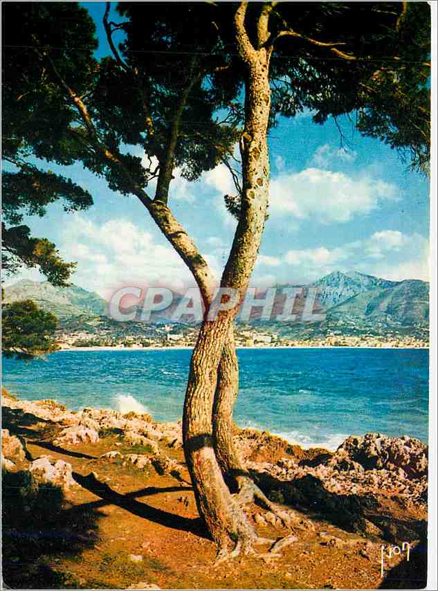 CPM La Cote d'Azur miracle de la nature Menton (Alpes Mar) Vue du Cap Martin