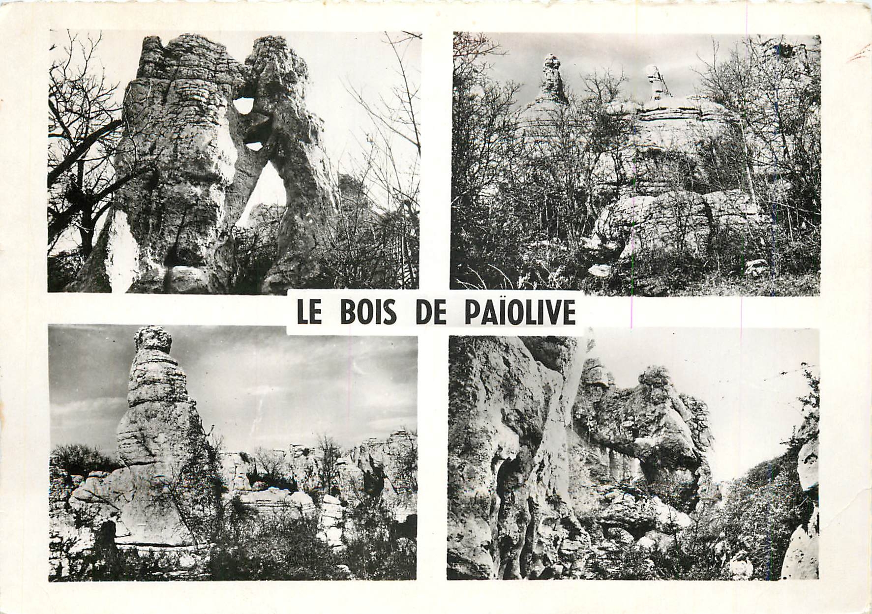 CPM Paysages du Vivarais Le Bois de Paiolove l'Ours et le Lion