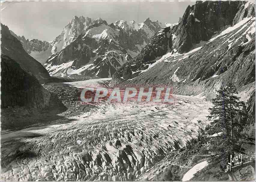 CPM Chamonix Mont Blanc (Haute Savoie) La Mer de Glace et le Jorasses