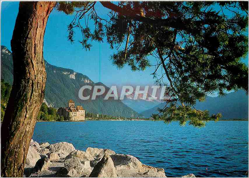 CPM Le château de Chillon et les dents du Midi