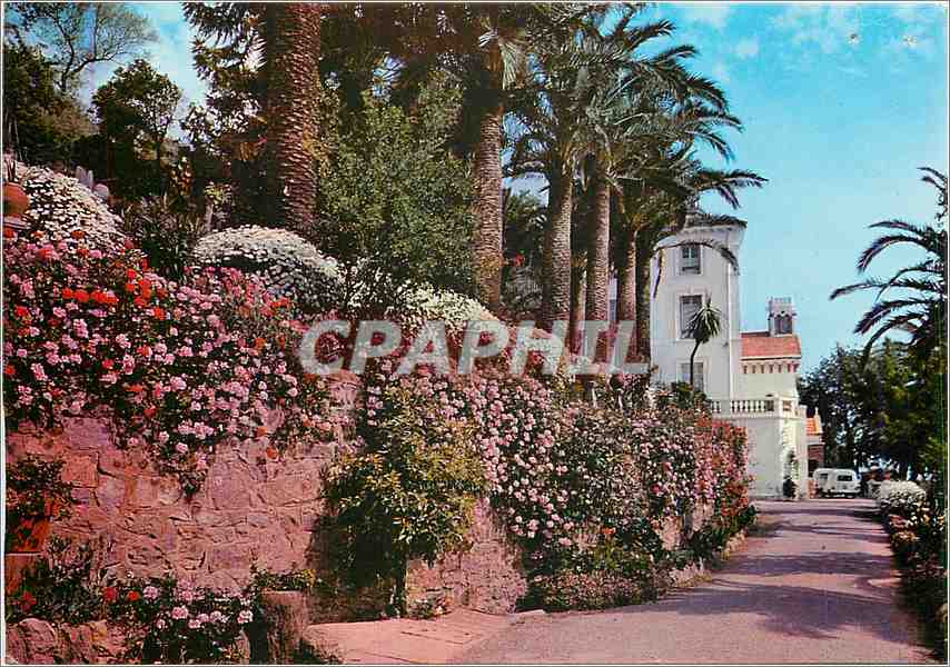 CPM Theoule Villa St Camille et ses Jardins Fleuri