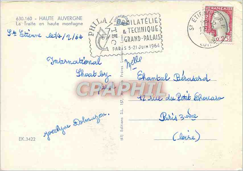 CPM Haute Auvergne La Traite en haute montagne Vaches — Verso
