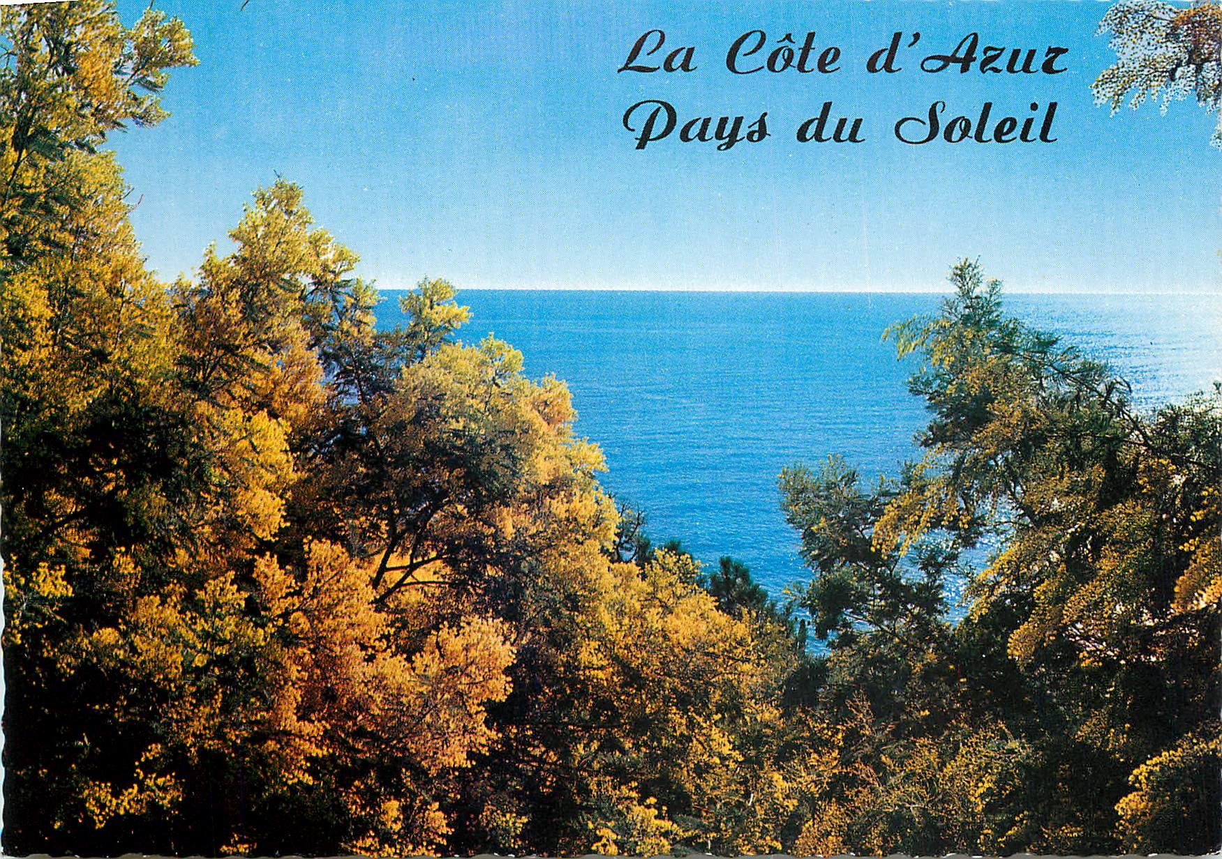 CPM La Cote d'Azur Pays du Soleil Riviera Mimosas
