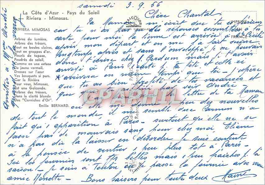 CPM La Cote d'Azur Pays du Soleil Riviera Mimosas — Rückseite
