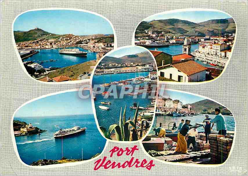 CPM Cote Vermeille Port Vendres Vue d'ensemble Le Port le POrt de Plaisance