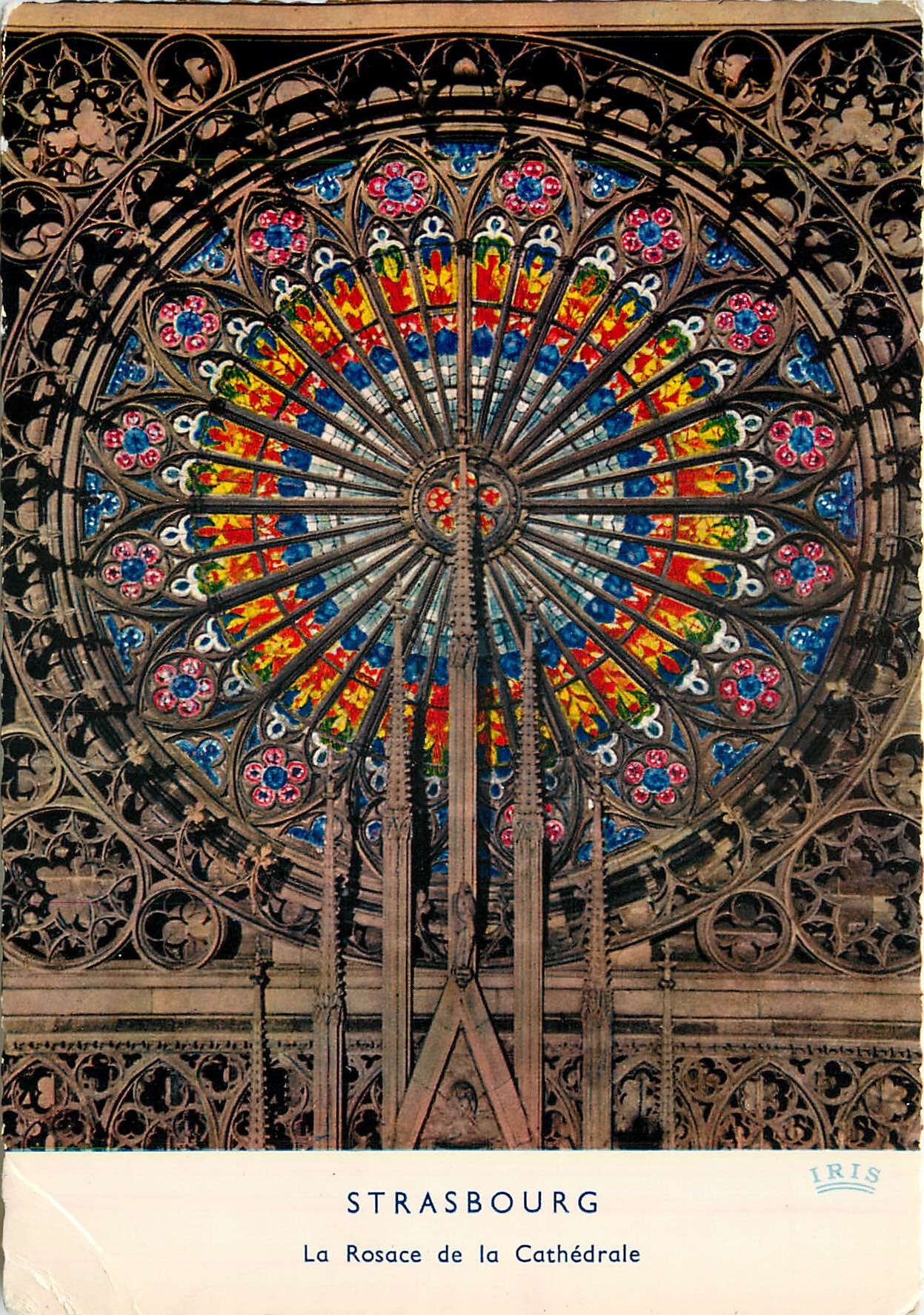 CPM Strasbourg (Bas Rhin) La cathedrale La Rosace