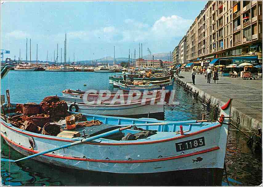 CPM Toulon (Var) Les quais et les Bateaux de peche