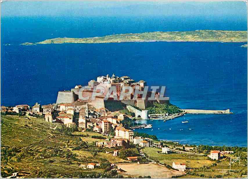 CPM Couleurs et Lumiere de France La Corse Oasis de Beaute Calvi Vue generale