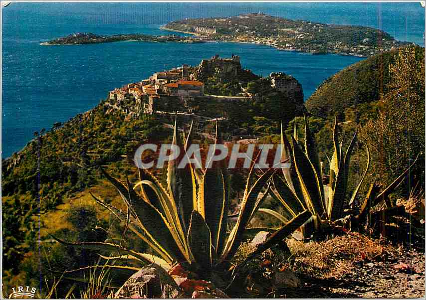 CPM Cote d'Azur Franch Riviera Eze le Cap Ferrat