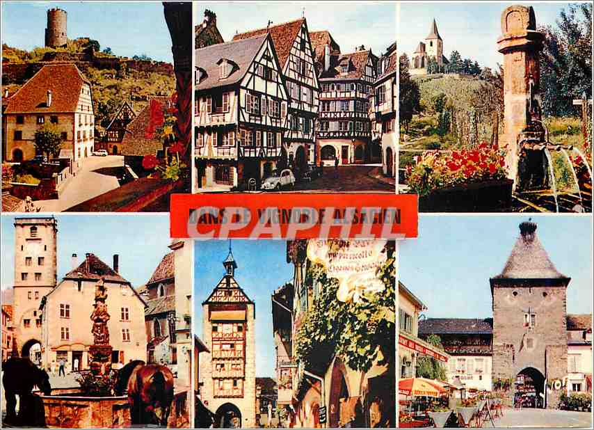 CPM Couleurs et Lumiere de France dans le Vignoble Alsacien Kaysersberg Colmar