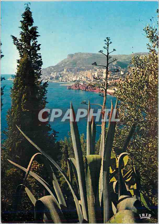 CPM Reflets de la Cote d'Azur La Principaute de Monaco Vue de Roquebrune Cap Martin (A Mmes)