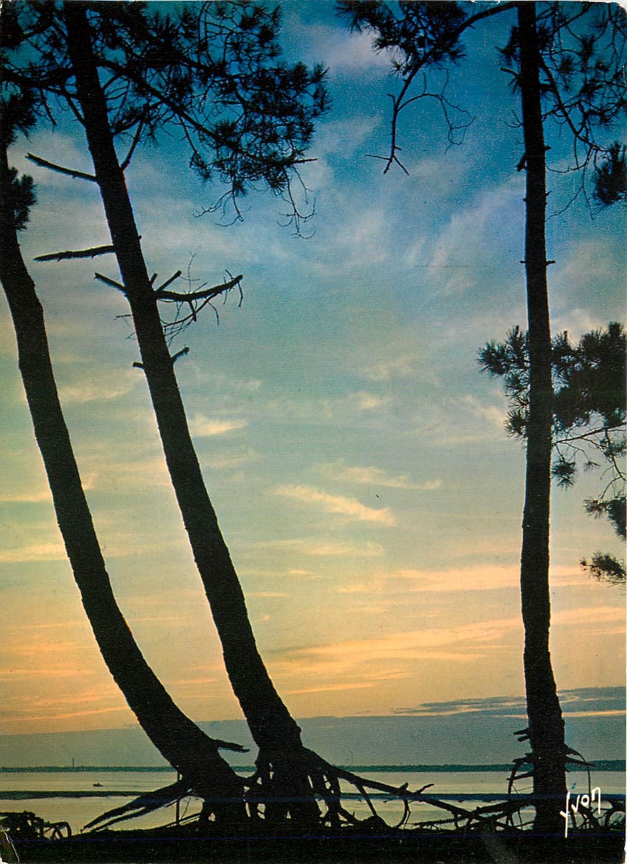 CPM Couleurs et Lumiere de France Bassin d'Arcachon (Gironde) Coucher de soleil sur le Bassin