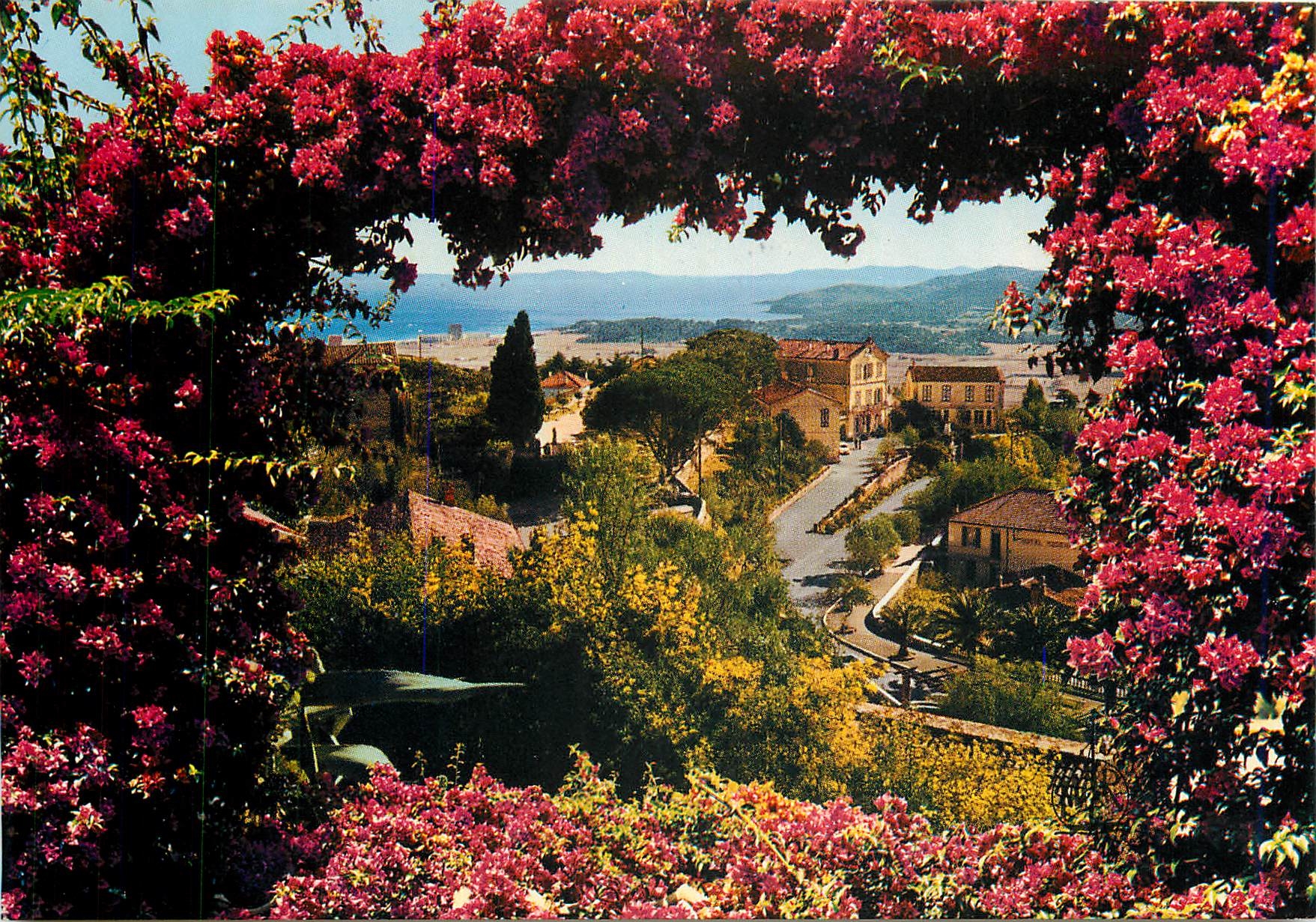 CPM La Cote d'Azur Bormes les Mimosas