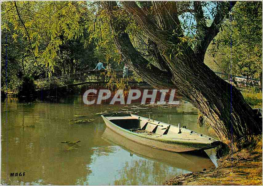 CPM Paysage de France les Bords du Loing