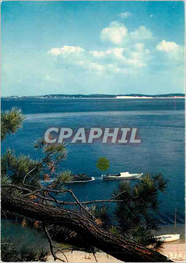 CPM Cote Aquitaine Cap Ferret Le retour du chaland des parcs a huitre au fond Arcachon