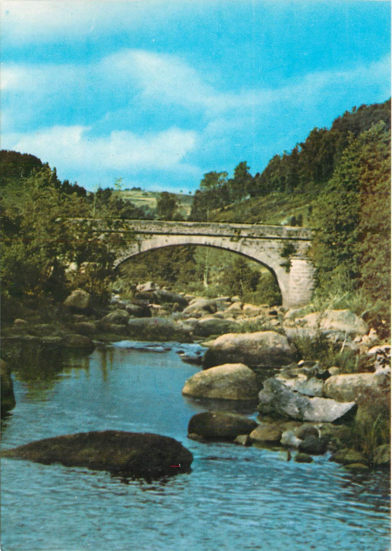 CPM Lozere Aubrac Pont sur le Bes