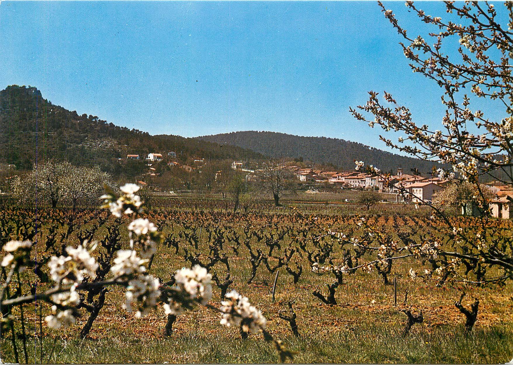 Nans-les-Pins — Vue générale — Société Éditions de France
