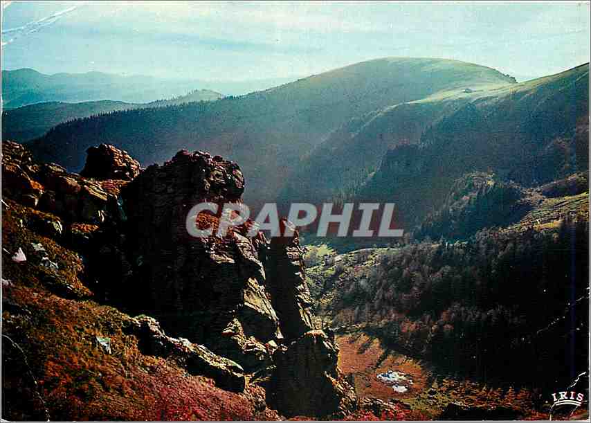 CPM Les Hautes Vosges Massif du Hohnek (alt 1361 m)