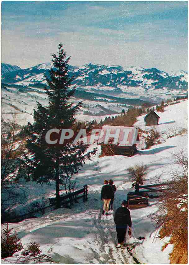CPM Ski