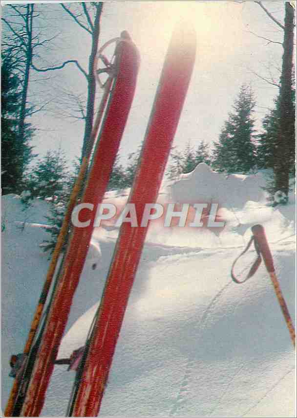 CPM Ski