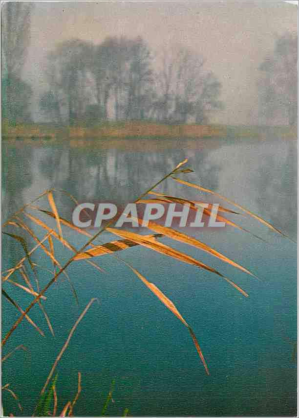 CPM Bord de l'eau
