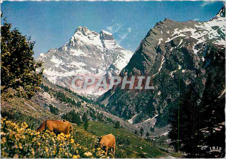 CPM Les Belles Alpes Francaise Symphonie Pastorale