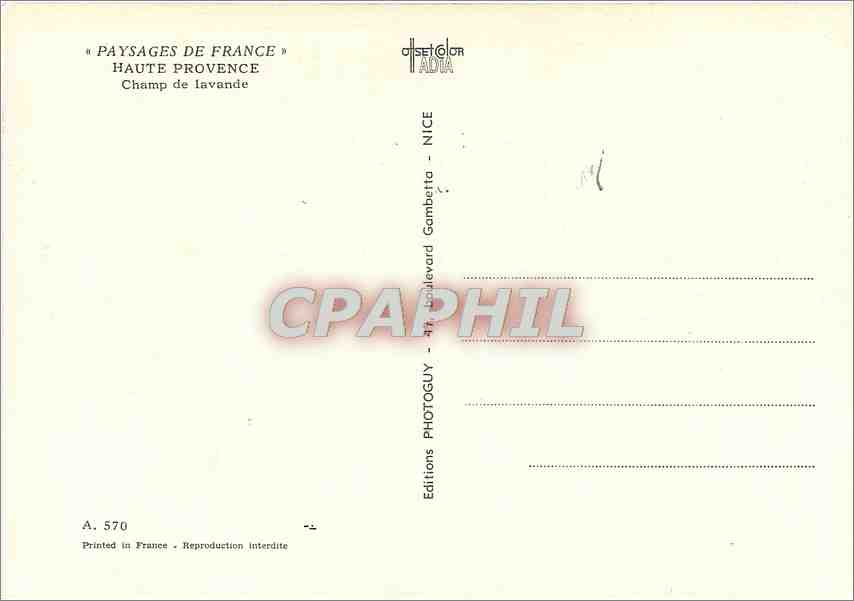 CPM Paysages de France Haute Provence Champ de lavande — Rückseite