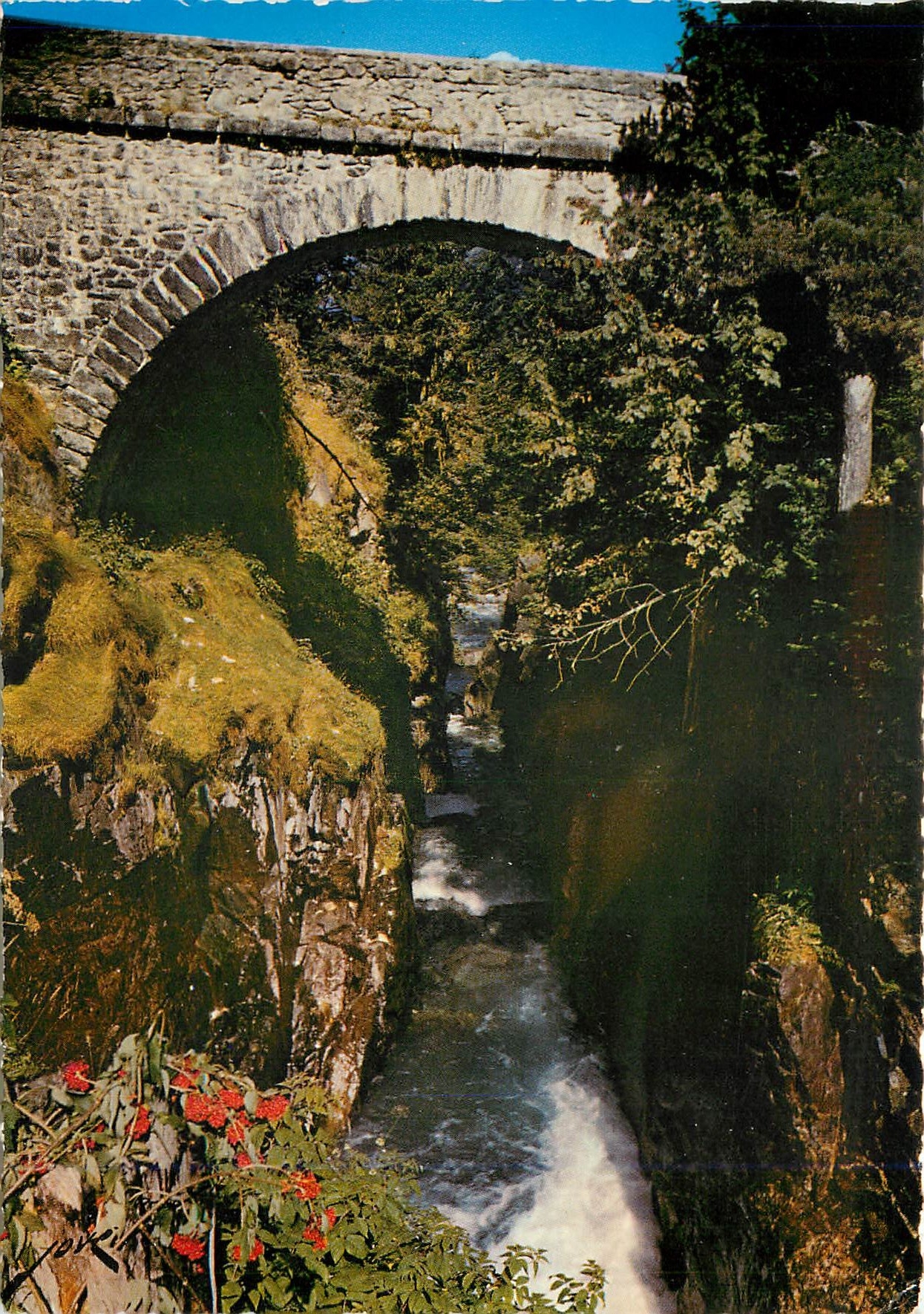CPM Cauterets (H P) Le Pont d'Espagne alt 1500 m