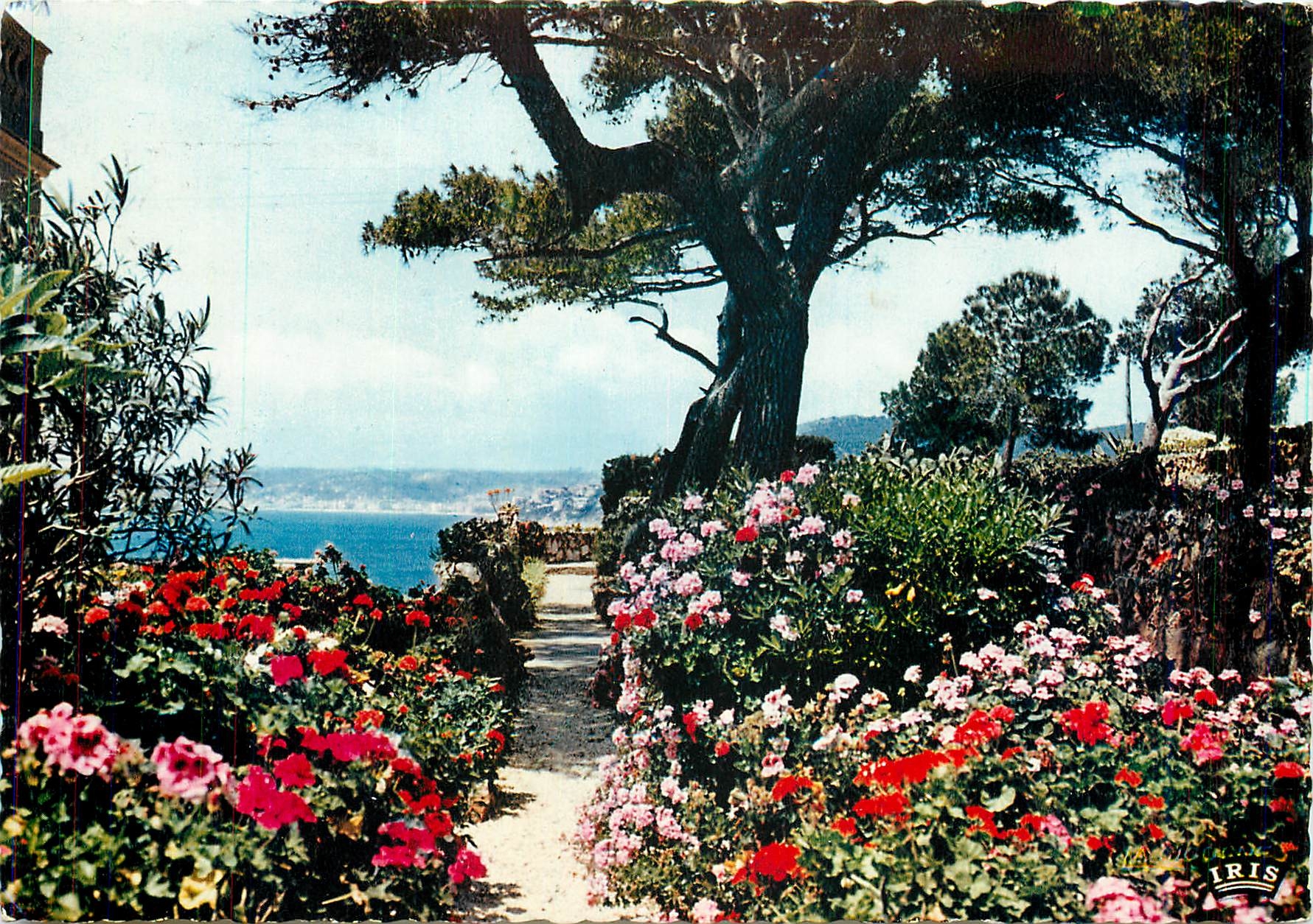 CPM Reflets de la Cote d'Azur Jardins fleuris sur les bords de la Mediterranee