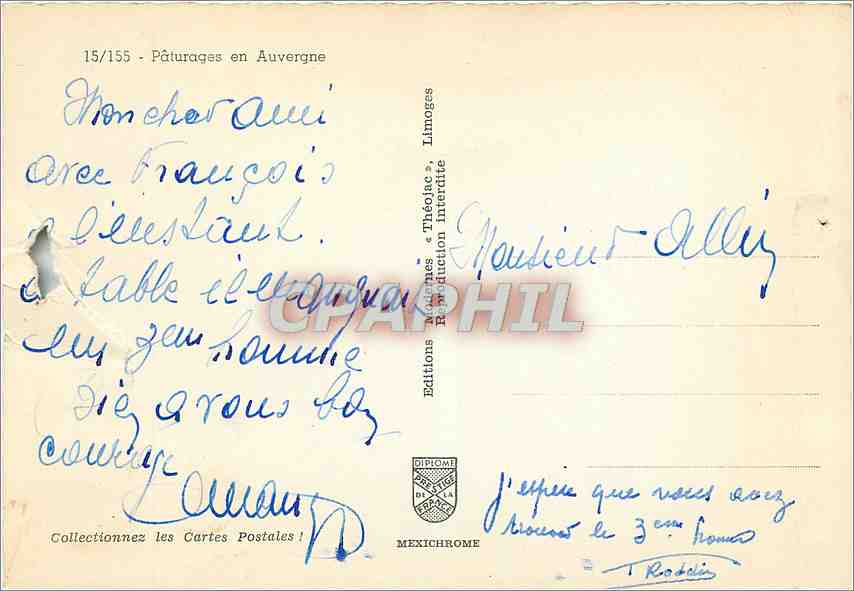 CPM Paturages en Auvergne Vache — Verso