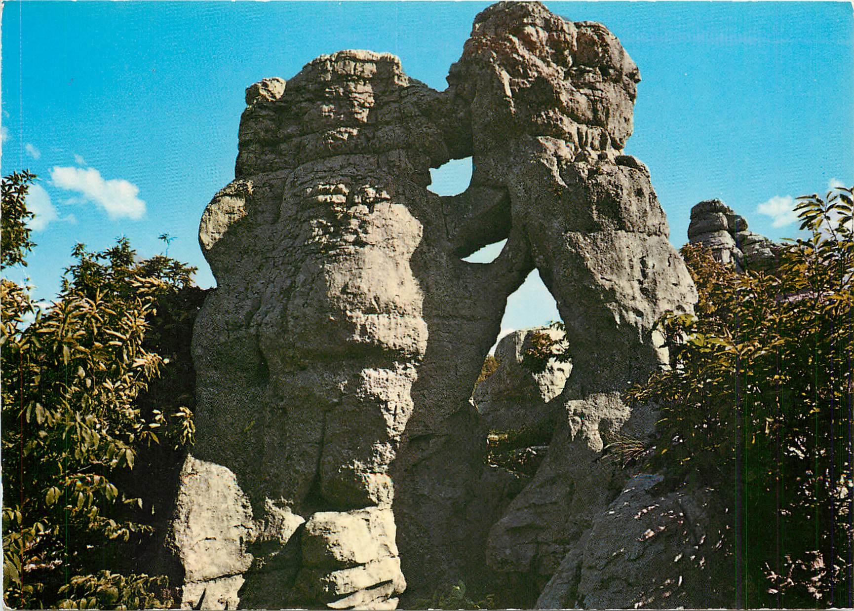 CPM Paysages du Vivarais Bois de Paiolove l'Ours et le Lion