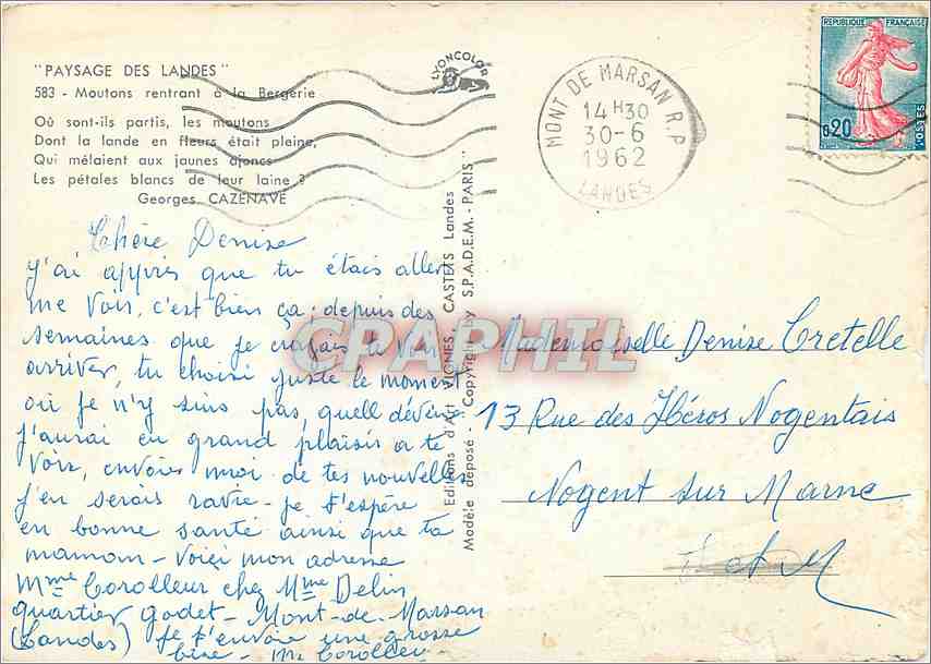 CPM Paysage de Landes Moutons retrant a la Bergerie — Back