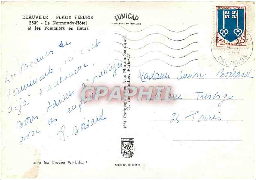CPM Deauville Plage Fleurie Le Normandy Hotel et les Pommiers en Fleurs — Verso