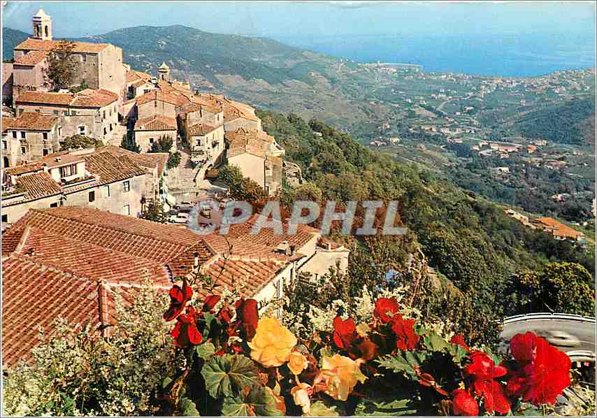 CPM Isola d'Elba Paggio et Marciana Marina