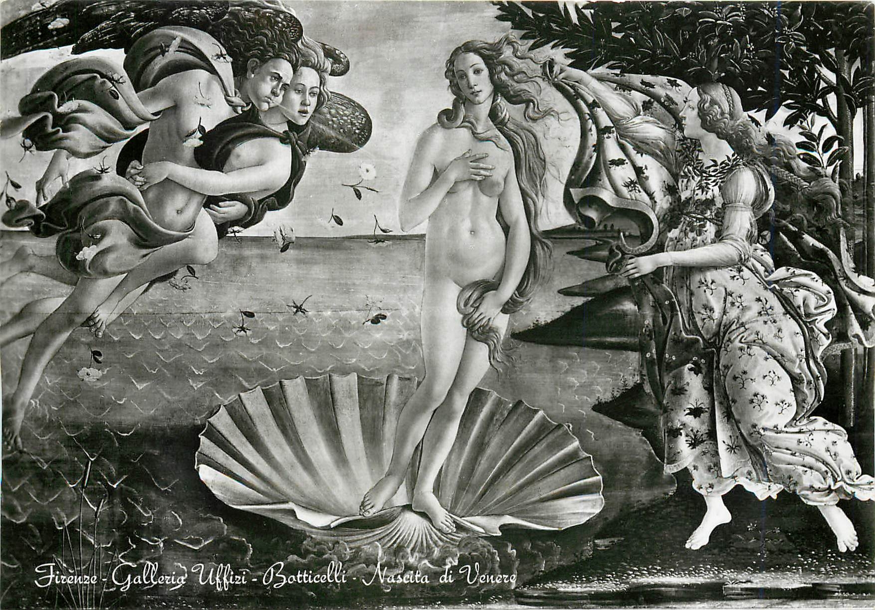 CPM Florenz Uffizi Galerie Botticelli Die Geburt von Venus