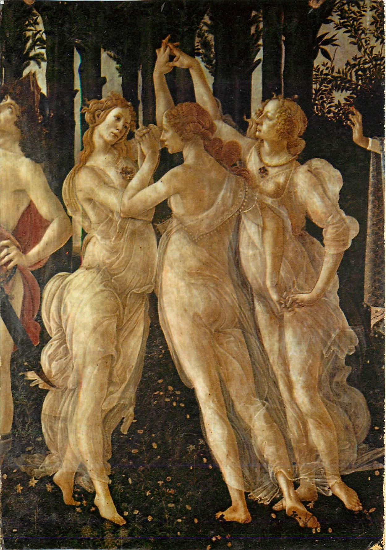 CPM Firenze Galleria Uffizi Botticelli la Primavera