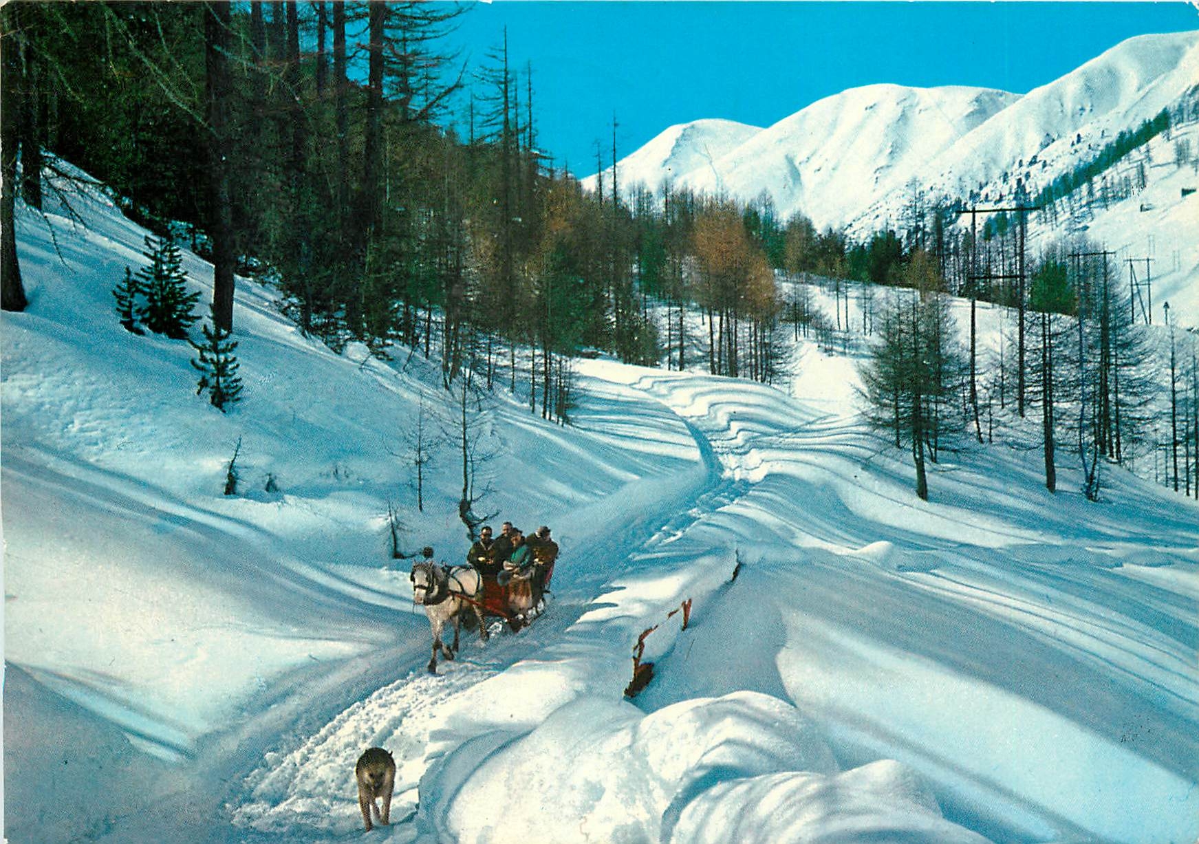 CPM Livigno m 1816 Particulier hivernal