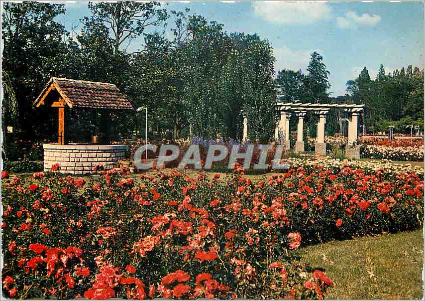 CPM Lyon Le Parc de la Tete d'Or