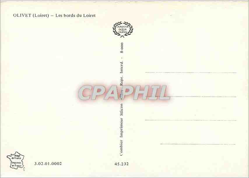 CPM Olivet (Loiret) Les bords du Loiret Cygnes — Rückseite