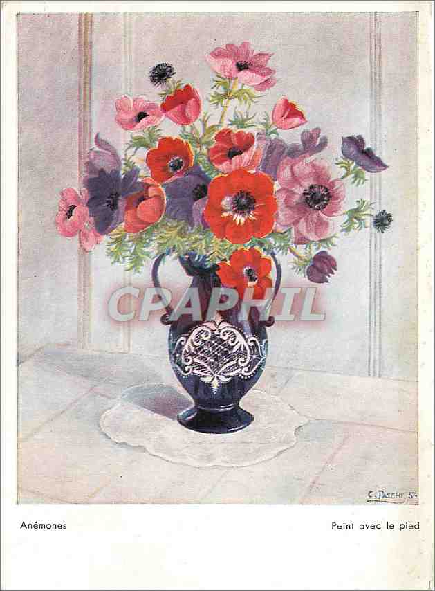 CPM Anemones Peint avec le pied