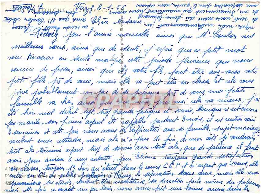 CPM Anemones Peint avec le pied — Verso