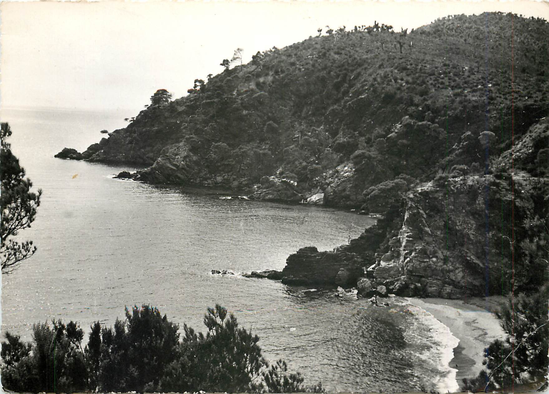CPM La Corniche des Maures Cavalaire sur Mer (Var) Calanque de Bon Porteau